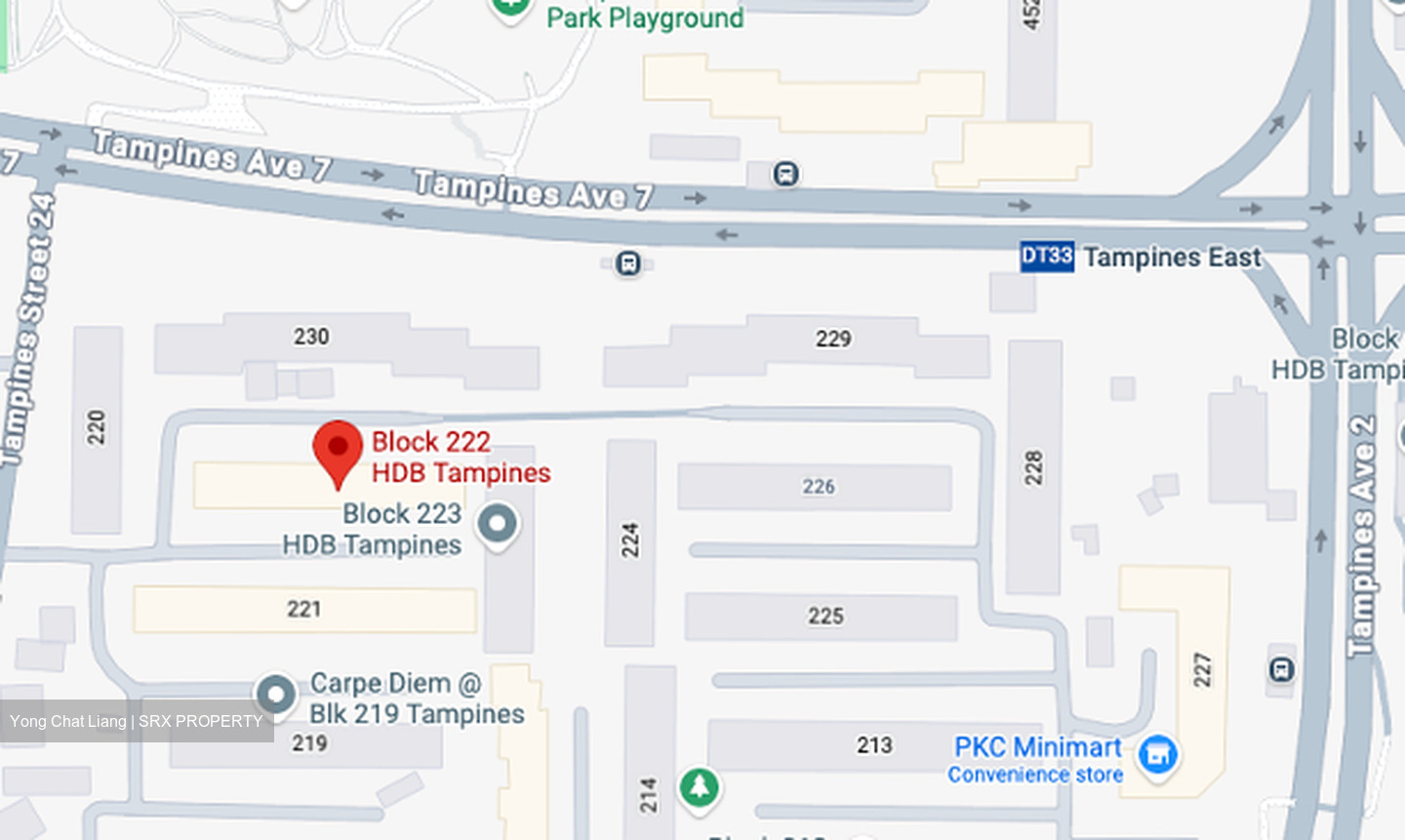 Blk 222 Tampines Street 24 (Tampines), HDB 4 Rooms #631393081